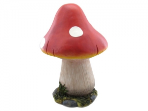 mushroom 