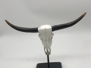UC-EVERYDAY ITEMS-118